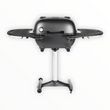 Charger l'image dans la galerie, Grill au charbon PK360
